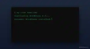 WP-CLI WordPress installation command on Ubuntu server